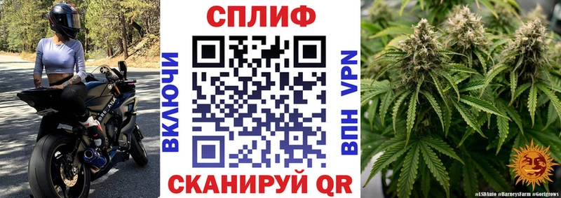 Магазин наркотиков Закаменск Бошки Шишки  АМФЕТАМИН  Alpha-PVP  Меф  КОКАИН 