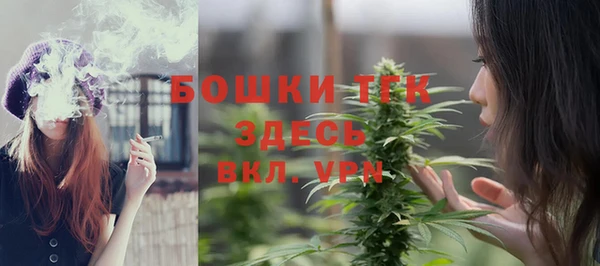 дурь Вяземский