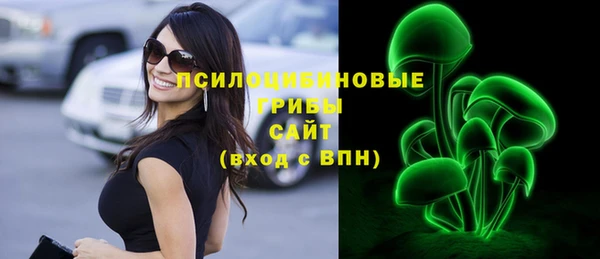 соль ск Вязьма